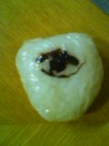img20071121.jpg