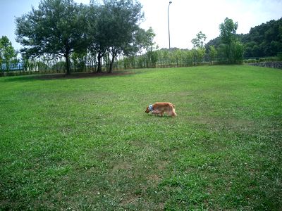 07-29.jpg