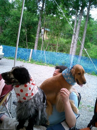 img20050731.jpg