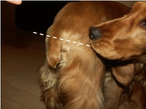 24.gif