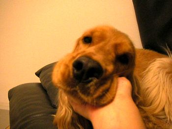 img20051026_1.jpg