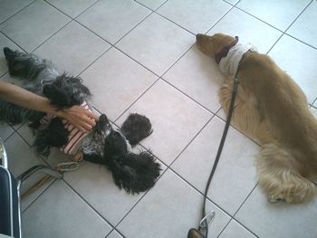 09-29.jpg