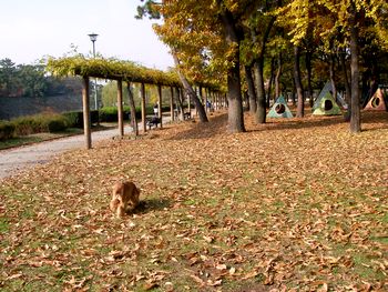 11-283.jpg