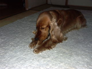 02-24.jpg