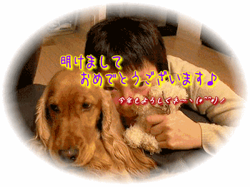 01-012.gif