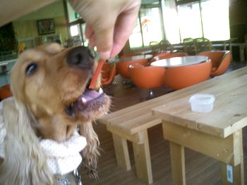 img20050913_1.jpg
