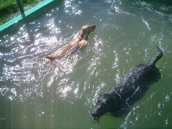 img20050925_3.jpg