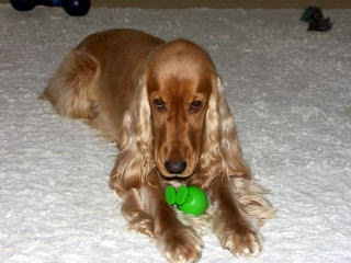 05-28.jpg