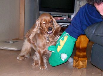 01-031.jpg