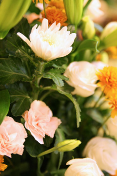 flower-0719.jpg