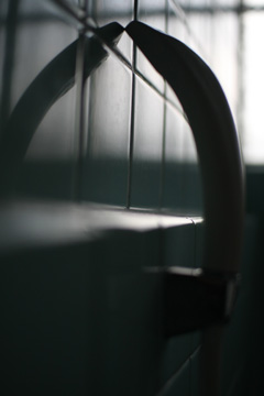 shower-head-0525.jpg