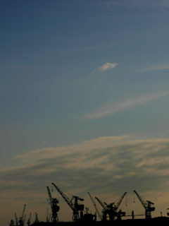 cranes-1028.jpg