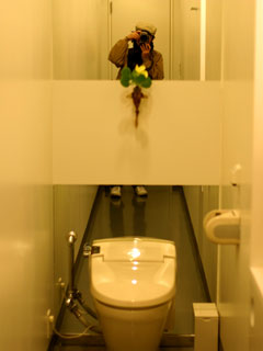 obj-toilet-0520.jpg