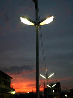 img20071031.jpg