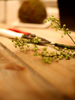foliage-3-0128.jpg