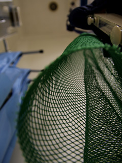 safety-net-1228.jpg