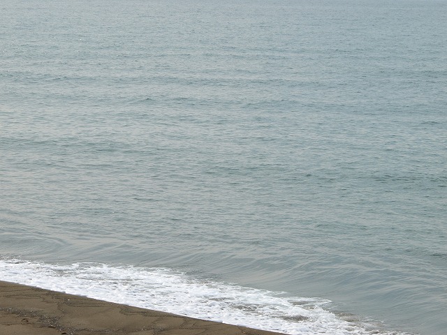 img20090928.jpg