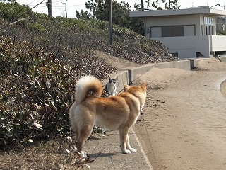 img20090226_6.jpg