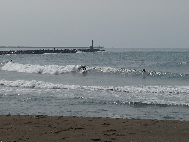img20090226.jpg
