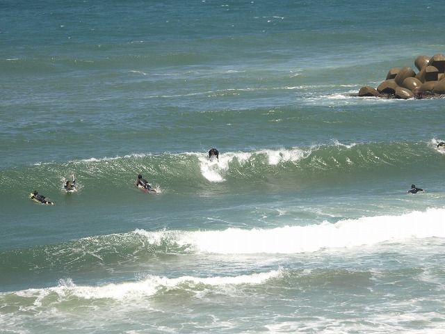 img20090529.jpg
