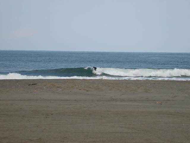 img20090328.jpg