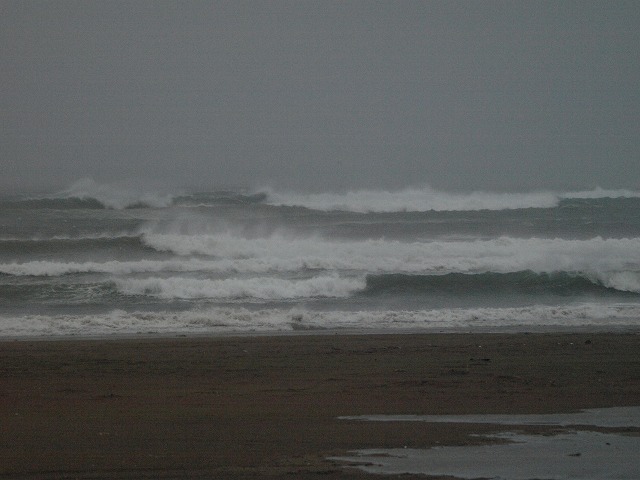img20090426.jpg