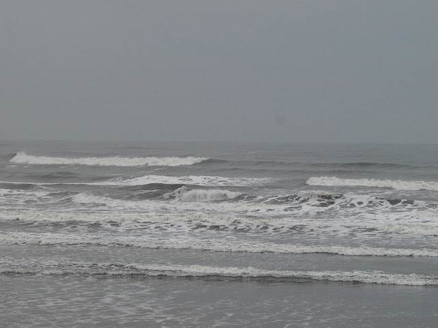 img20091227.jpg