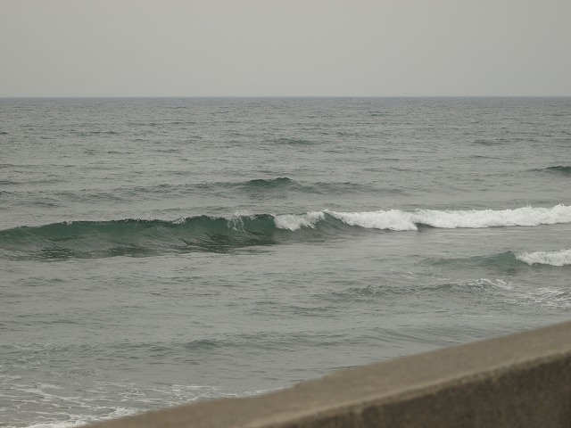 img20090528.jpg