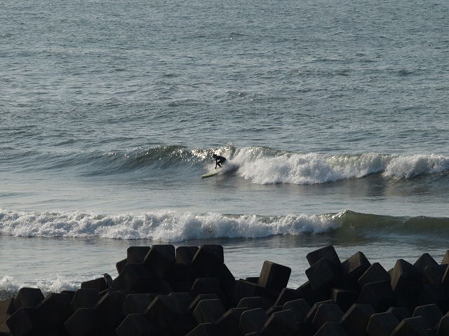 img20090226_5.jpg