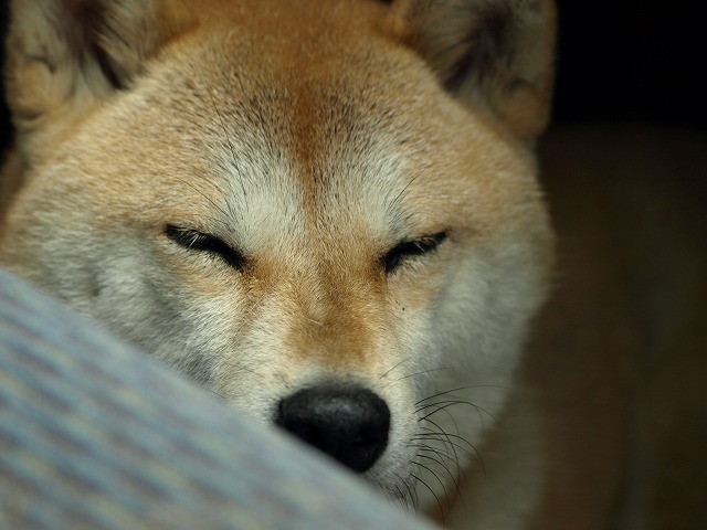 img20090930.jpg