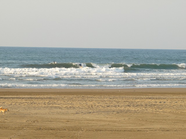 img20091028_1.jpg