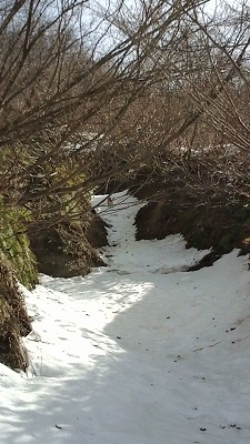 20090228110322_2.jpg