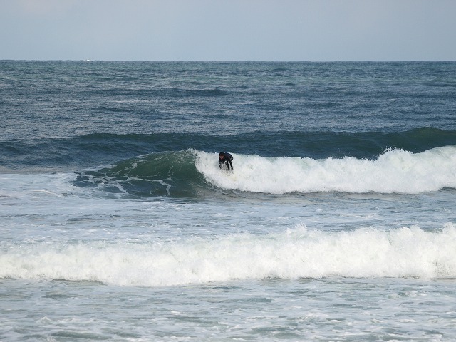 img20090329_2.jpg