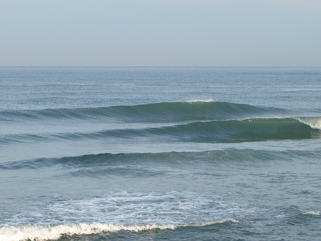 img20091127.jpg
