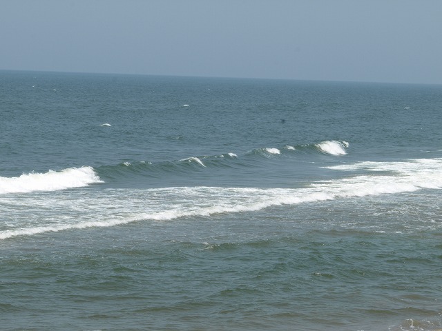 img20090626.jpg