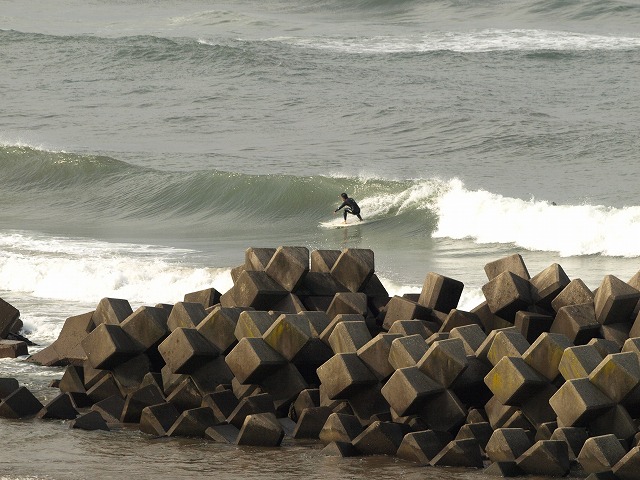img20091128.jpg