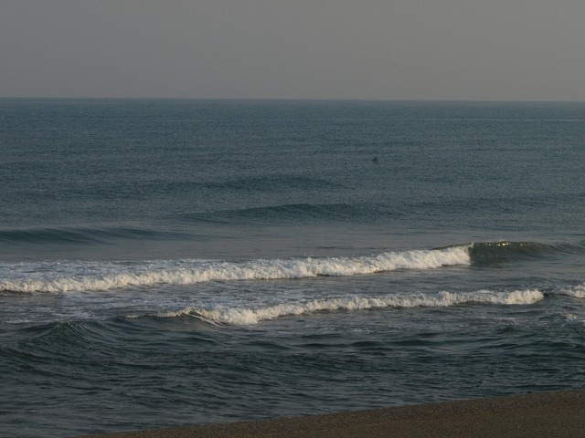 img20090627.jpg