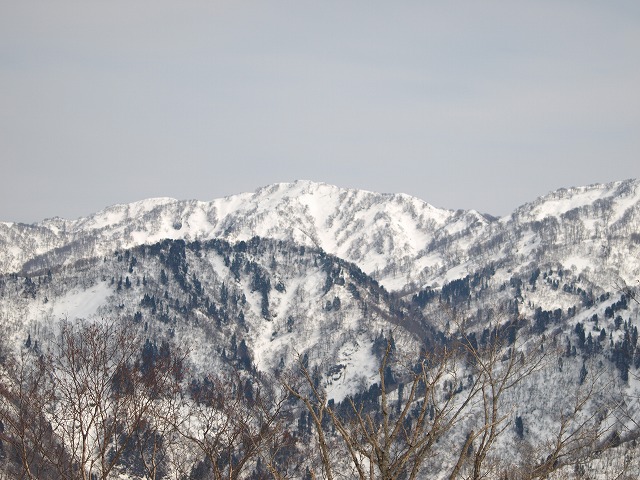 img20090331.jpg