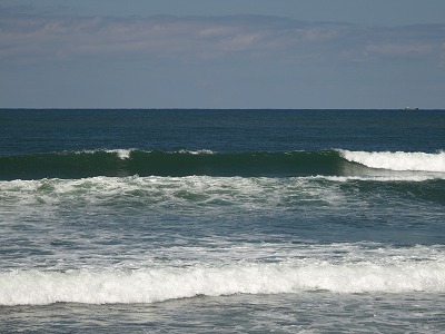 img20090330_2.jpg