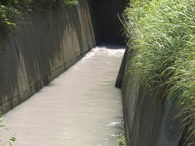 img20090728.jpg