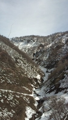 20090228112936.jpg