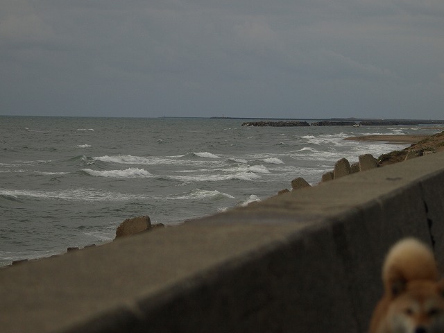 img20090531.jpg