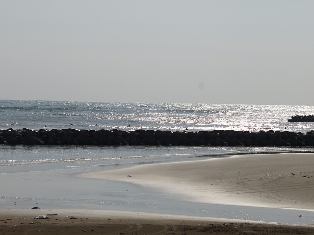 img20090427_1.jpg