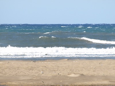 img20100129.jpg
