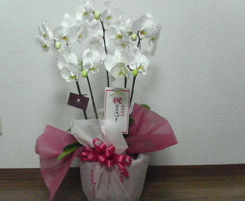 200704272041000.jpg