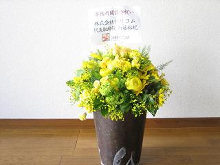 img_0342.jpg
