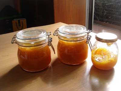 img20080411_1.jpg