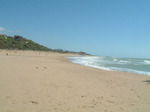 img20060222.jpg
