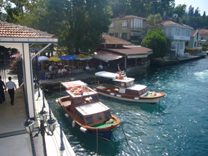 img20081221_1.jpg