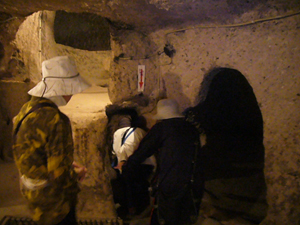 img20080225.jpg